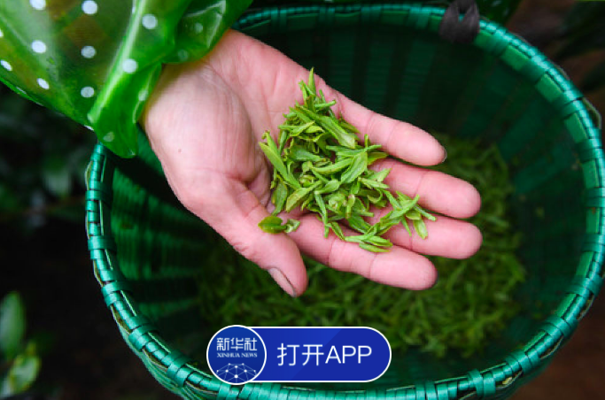 1584184293643250.png 1584184293643250.png